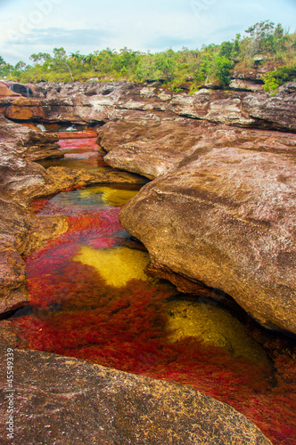 A Multicolored River in Colombia