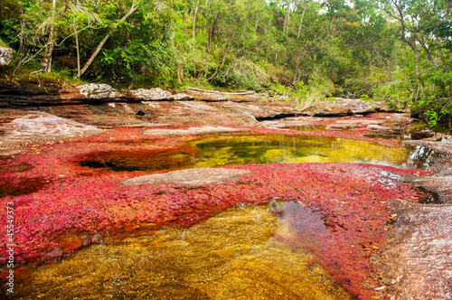 Εκτύπωση καμβά A Red and Yellow River in Colombia