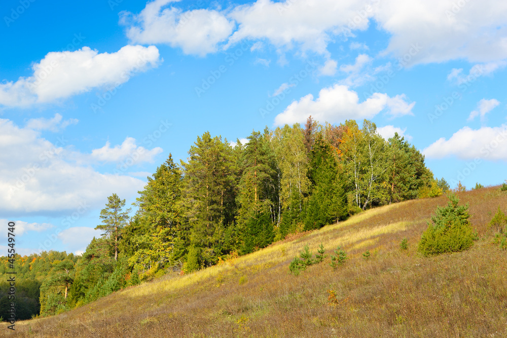 Fototapeta premium Nature, landscape