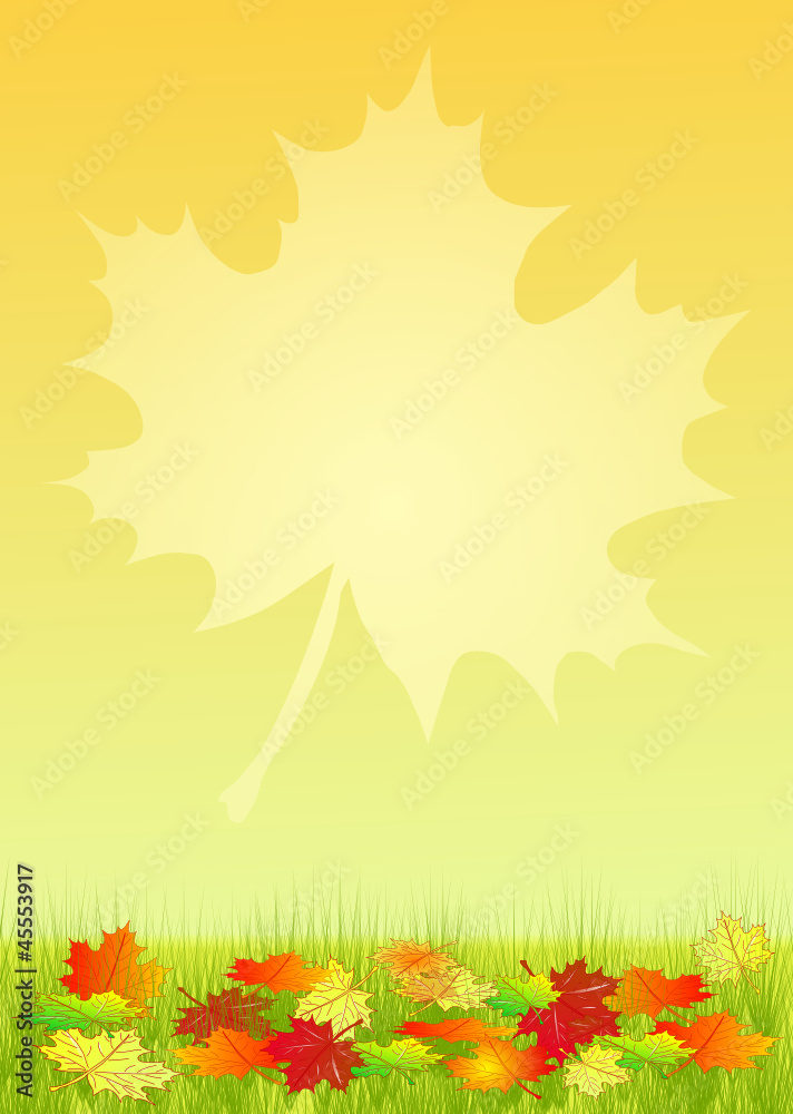 Obraz premium Herbst Ahorn Hintergrund