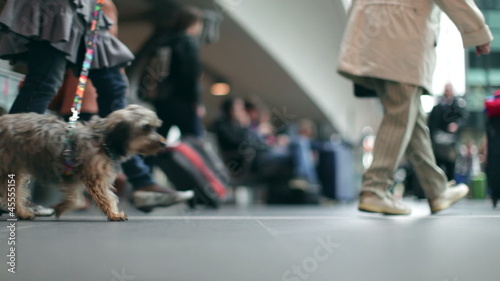 People, Passengers with cases at a modern Station with bokeh photo