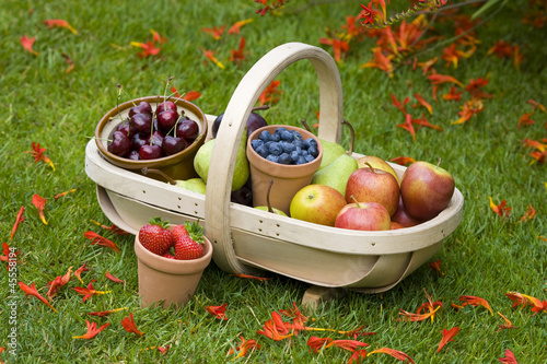 trug of summer fruit photo