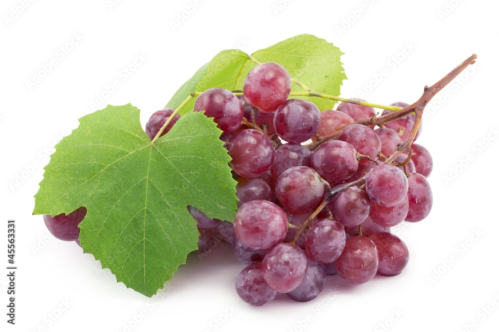 Fototapeta premium bunch of blue grapes