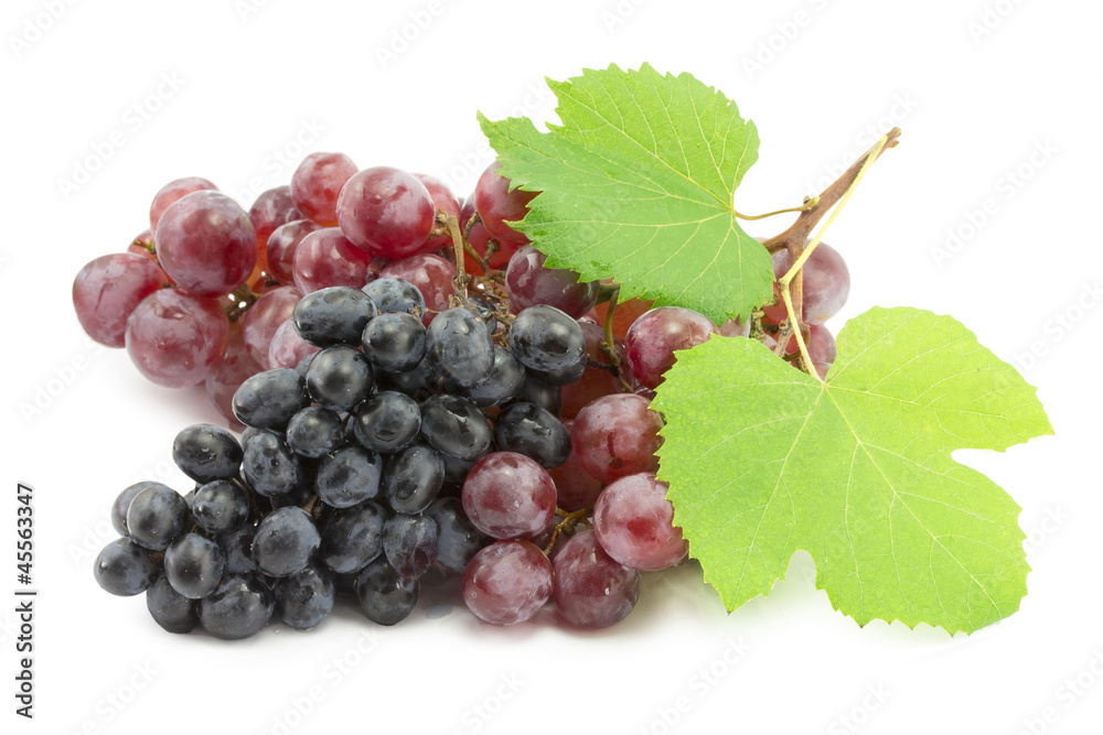 Fototapeta premium bunch of blue grapes