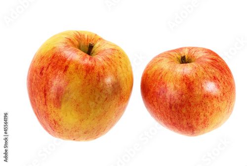 Apples