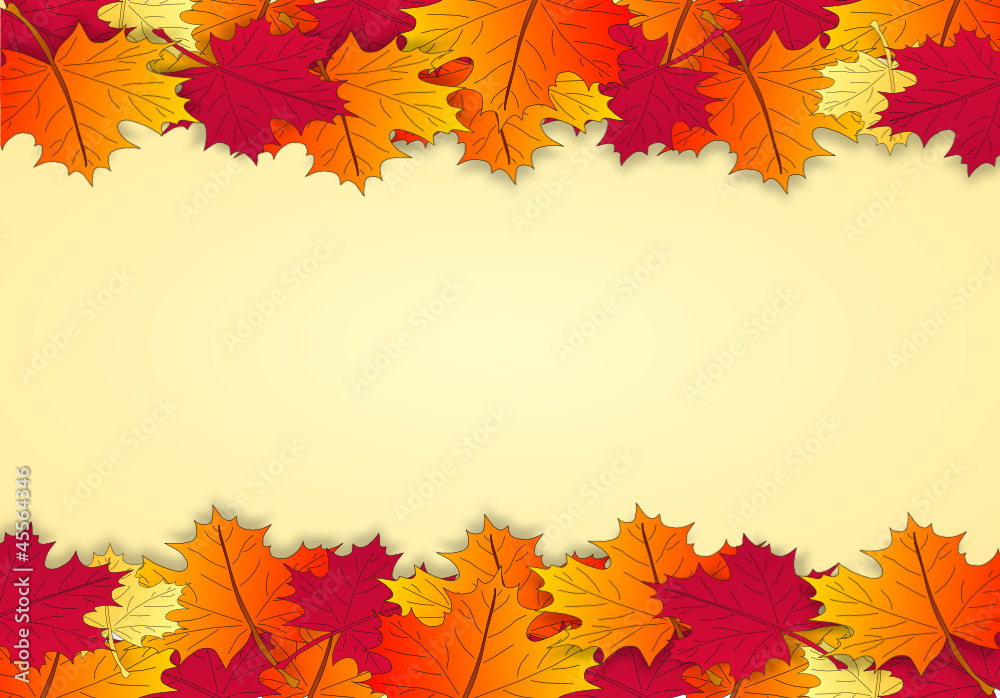 Fototapeta premium Herbstblätter Hintergrund Ahorn