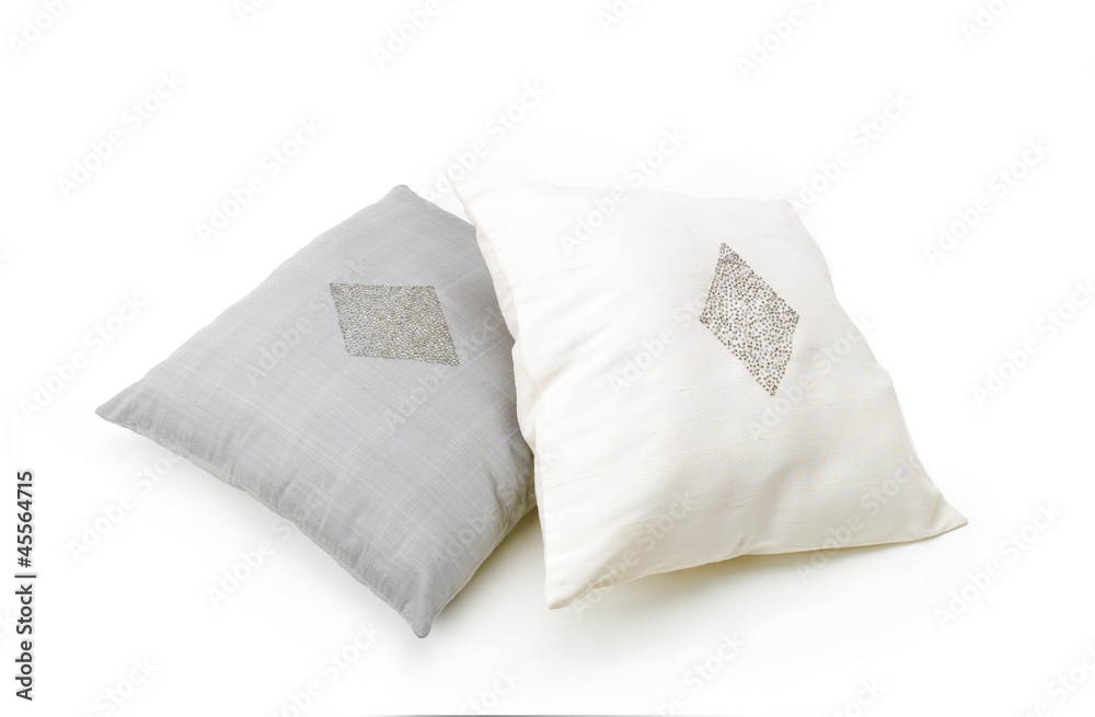 A pair of nice pillow for your living room A pair of nice pillow for your living room