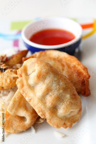 Pot Stickers