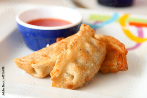 Pot Stickers
