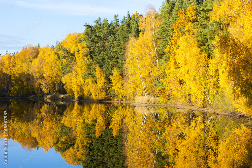 Fototapeta premium autumnal pond, Czech Republic