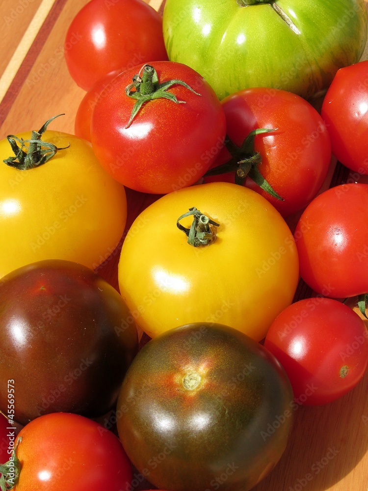tomates tomates