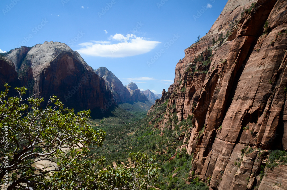 Zion national park