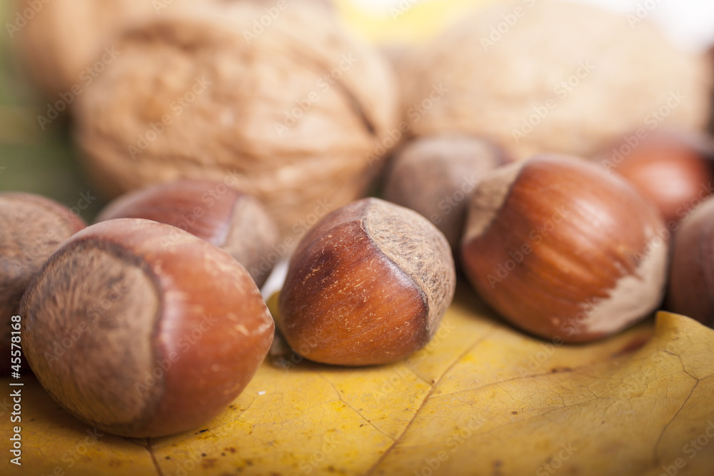 nuts on the leaves