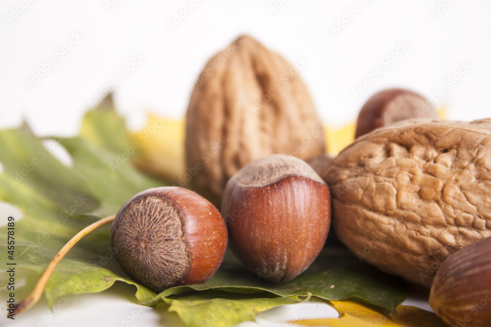 nuts on the leaves