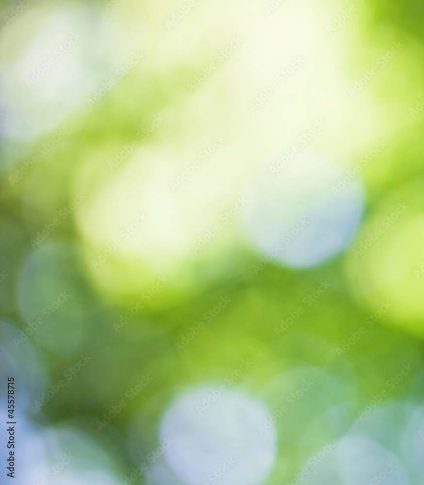 Obraz premium Spring texture