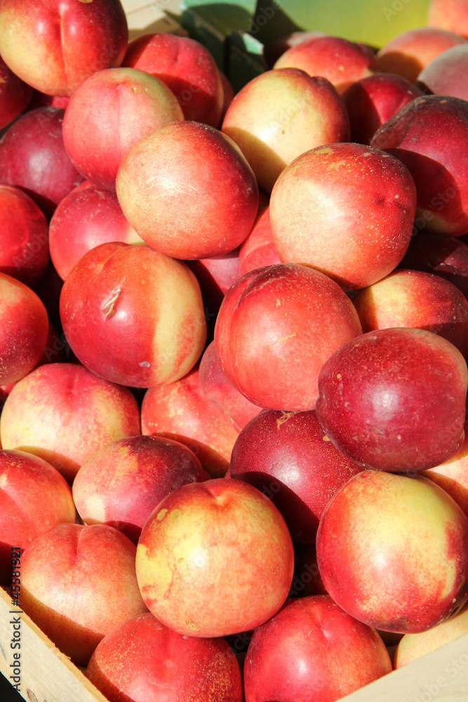 Nectarines in the sun StockFoto Adobe Stock