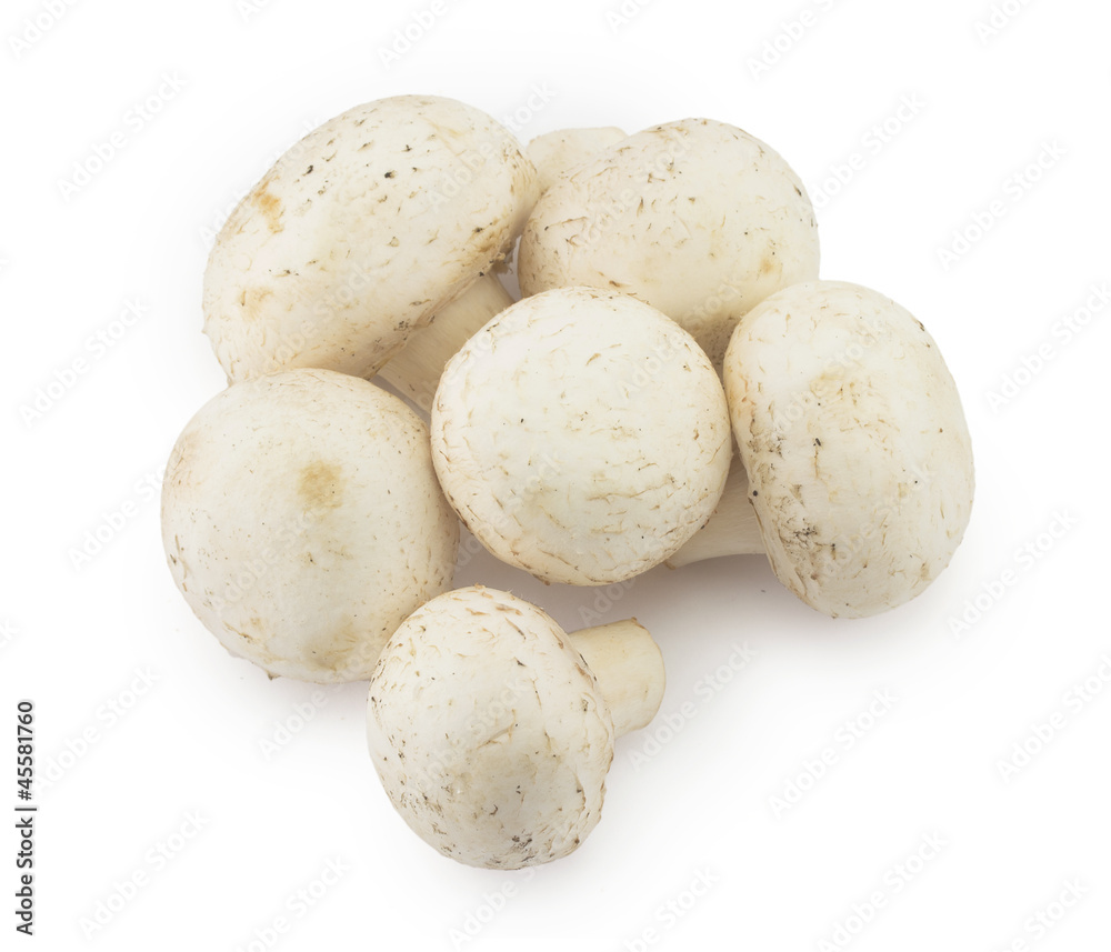 Champignon mushroom Champignon mushroom