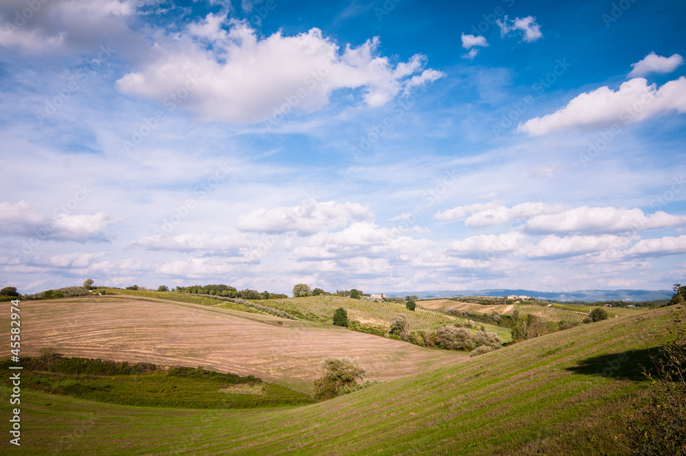 Fototapeta premium Tuscan countryside landscape