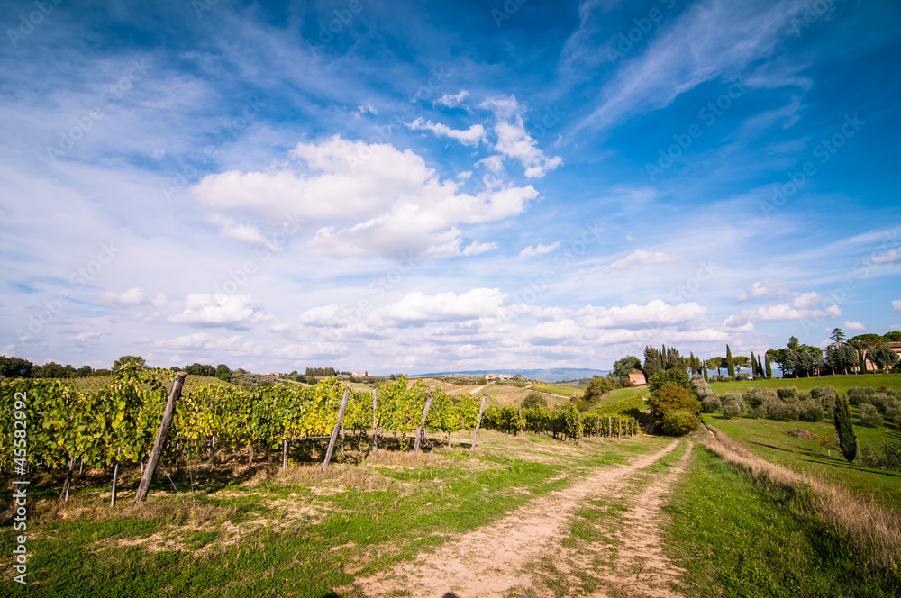 Tuscan countryside landscape