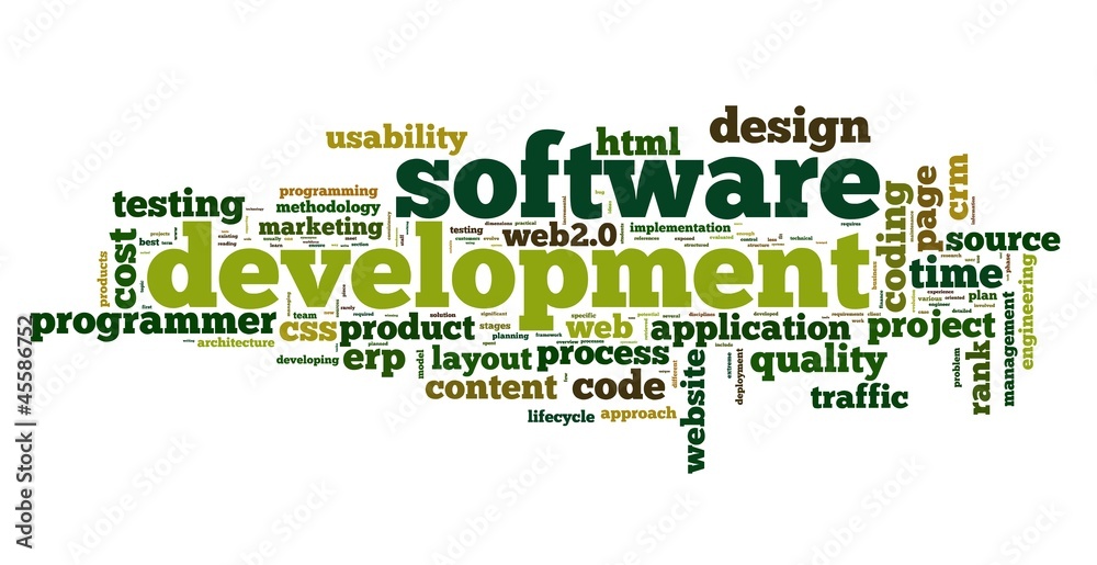 Obraz premium Software development concept in tag cloud