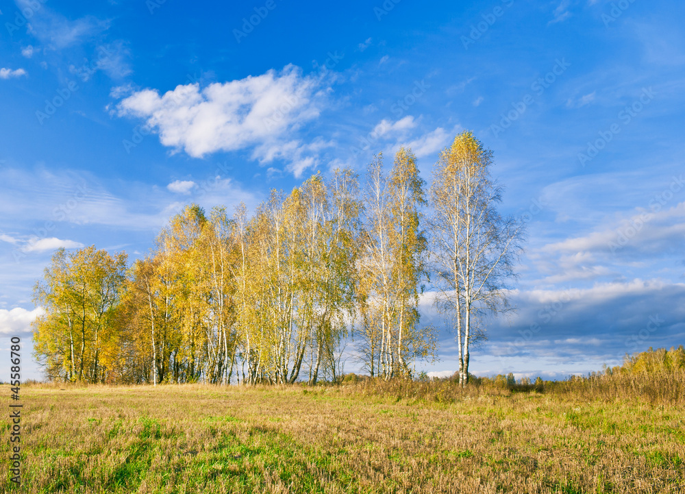 Obraz premium Autumn