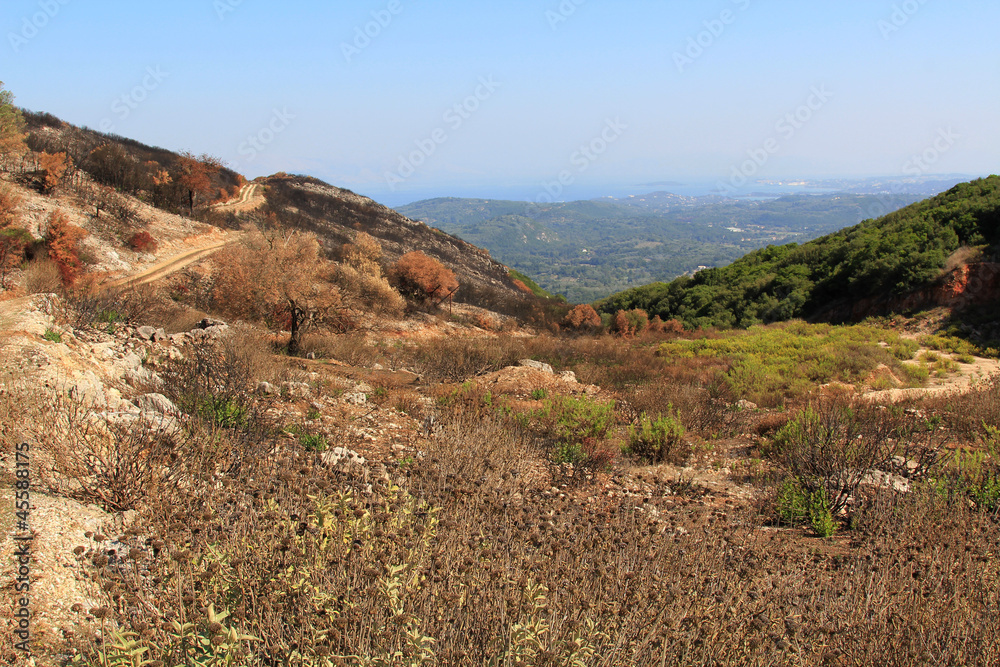 Burned grass in the mountains of Greece Burned grass in the mountains of Greece