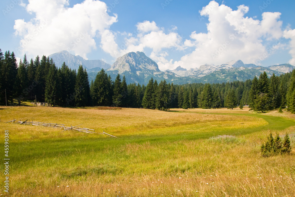 Mountain scenery, National park Durmitor, Montenegro