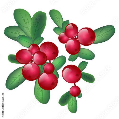 Cranberries