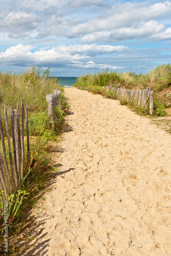 Sand Path to the Beach