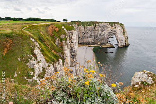 Cliffs of Etretat  Normandy  France