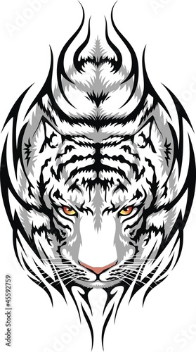 Fototapeta Naklejka Na Ścianę i Meble -  Tiger