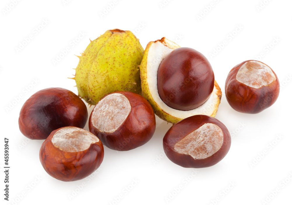 chestnuts chestnuts