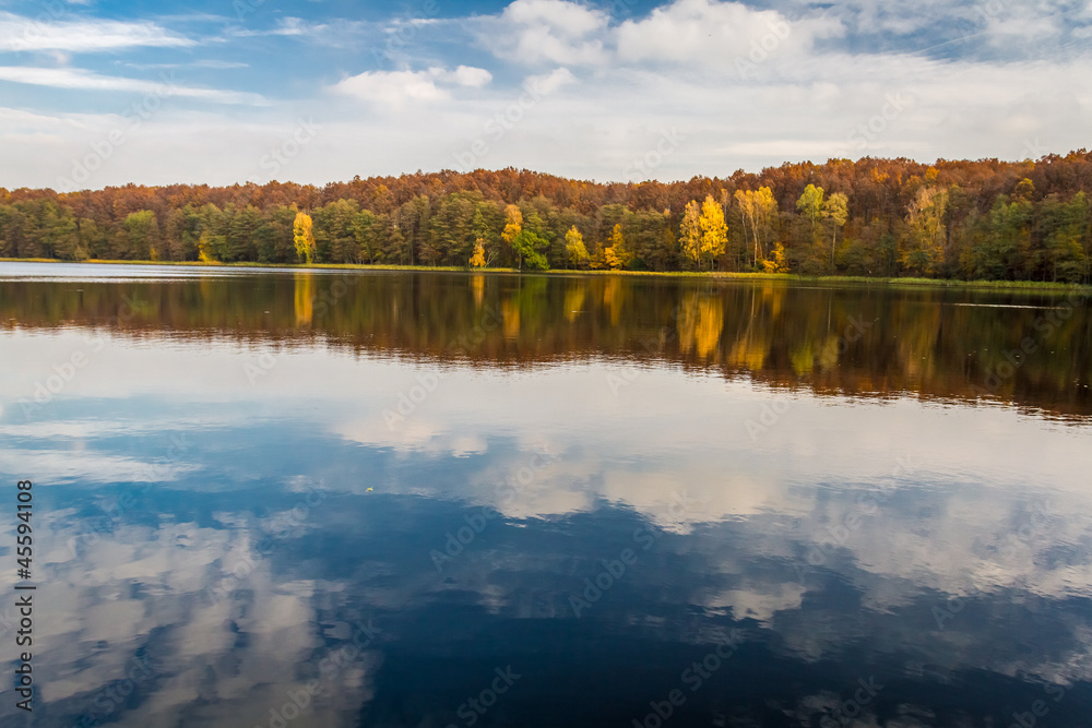 Autumn view at the lake in sunny day