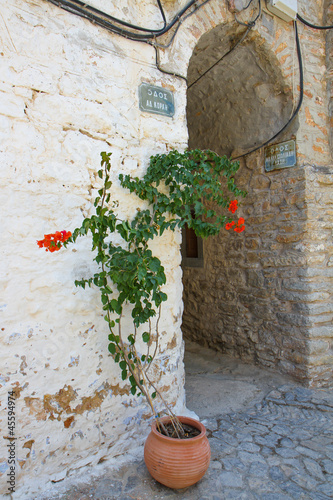 Streets of Mesta Village with flowers photo