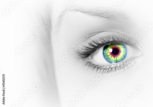 Human eye on grey background