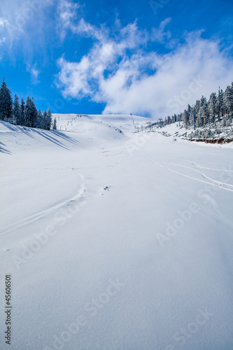 WInter Landscape