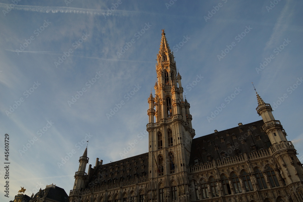 Brüsseler Spitzen, Querformat StockFoto Adobe Stock