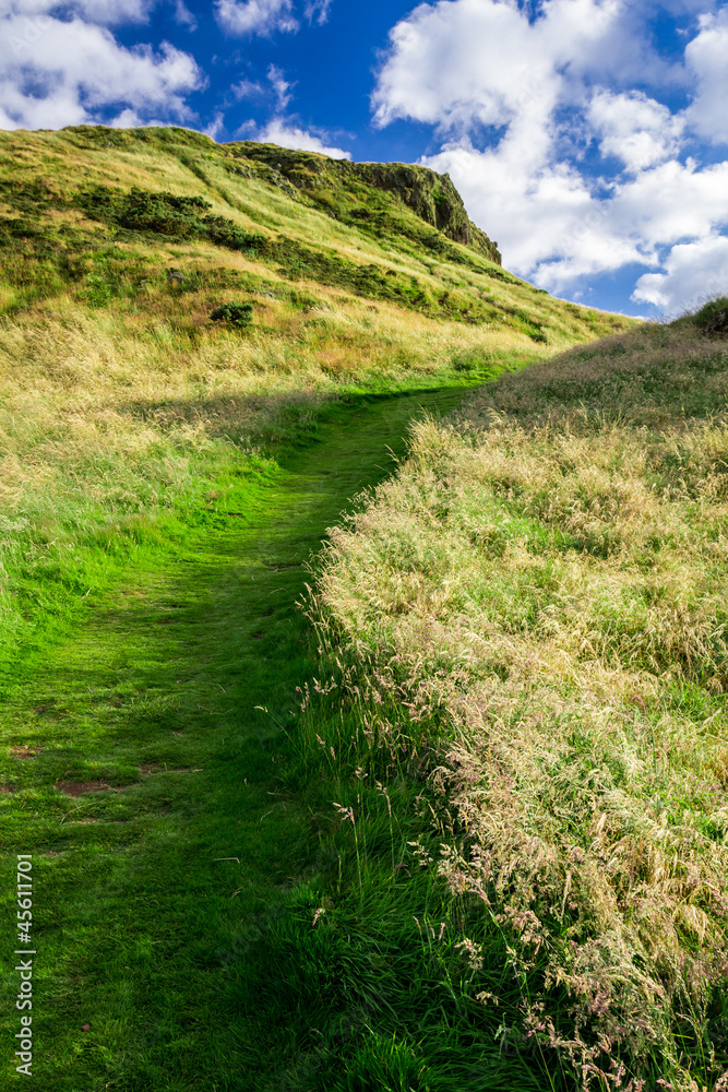 Green footpath to the hill in summer