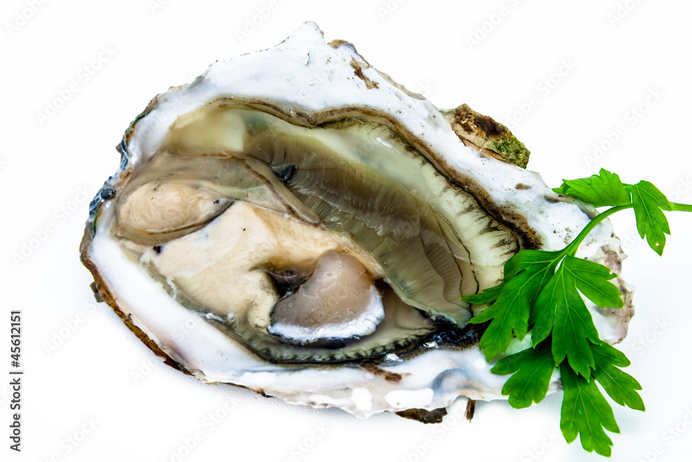 One oyster One oyster