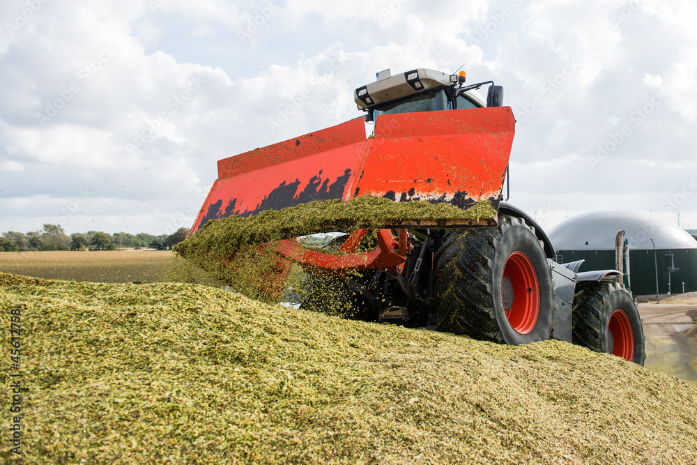 Obraz premium Erntefahrzeug - Silage fahren
