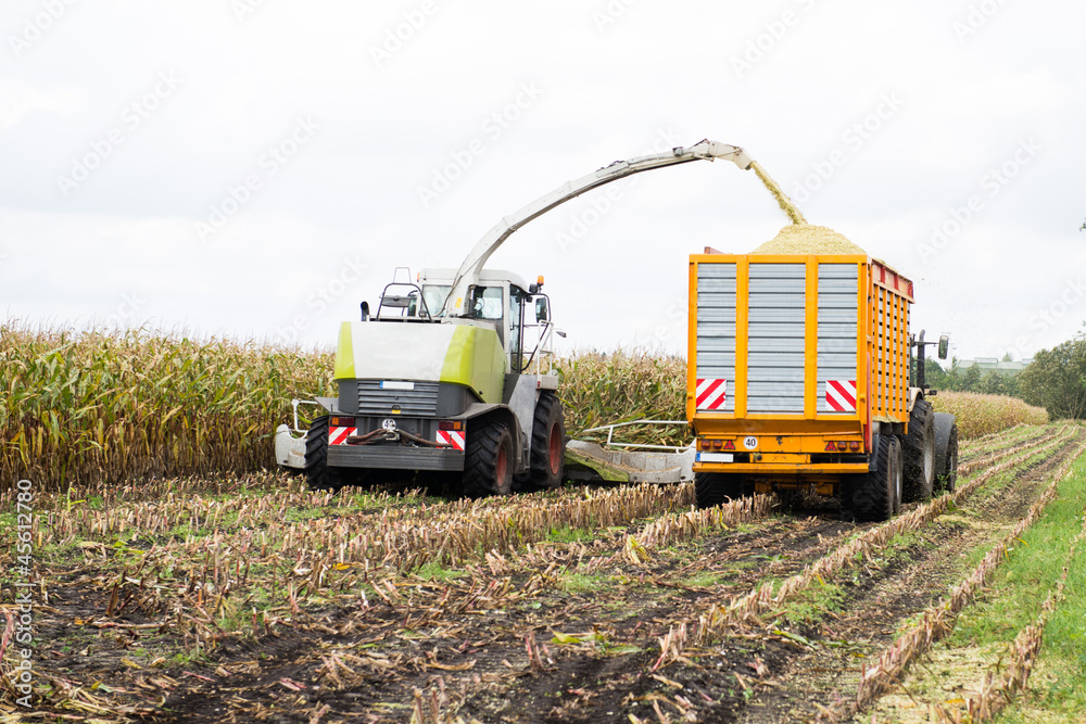 Obraz premium Ernte - Landwirtschaft