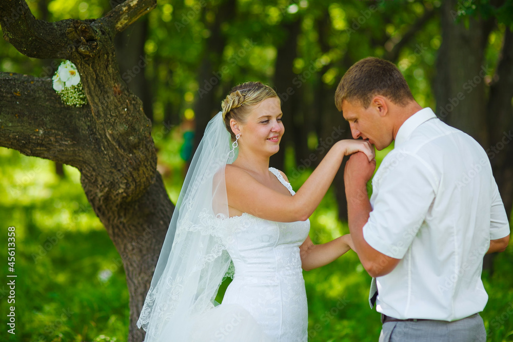 groom kissing hand of bride, newlyweds couple are in green fores groom kissing hand of bride, newlyweds couple are in green fores