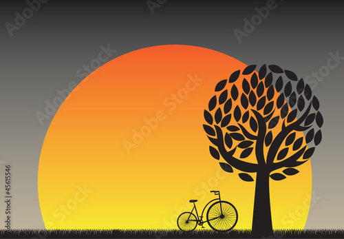 Sunset
