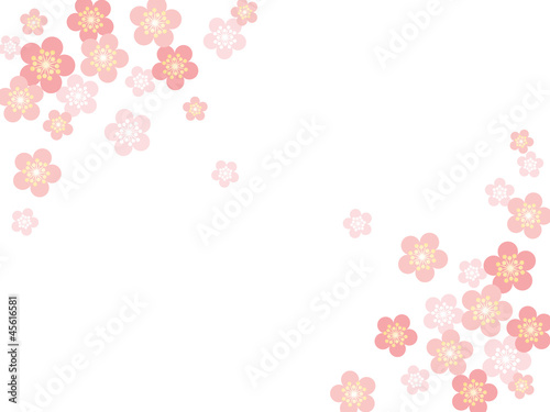 梅の花 © koyoi