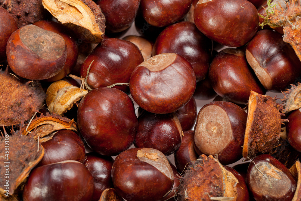 ripe chestnuts