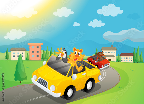animals in car