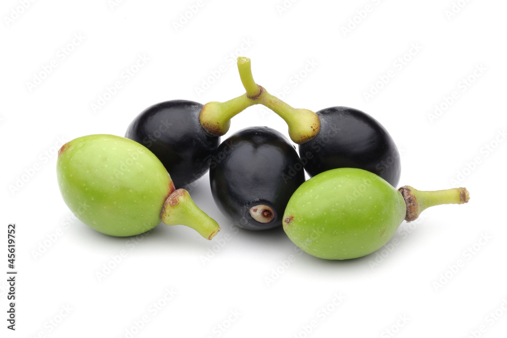 Obraz premium Laurel Fruits