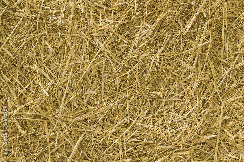Texture Texture