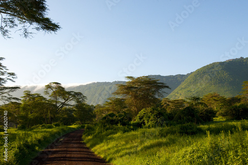 Tanzania, Afryka, Safari © npls