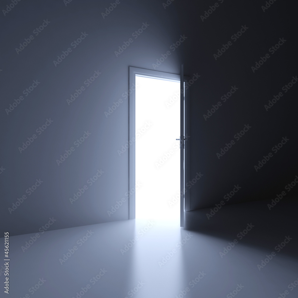 Door opened Door opened